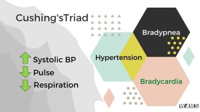 Cushing's Triad