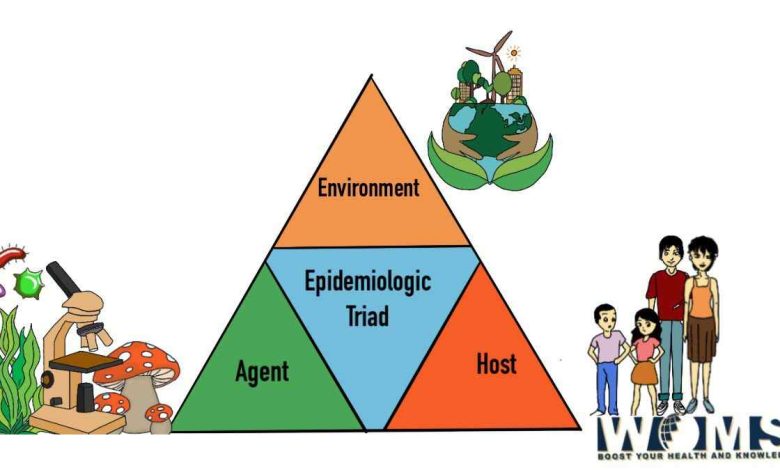 Epidemiological triad